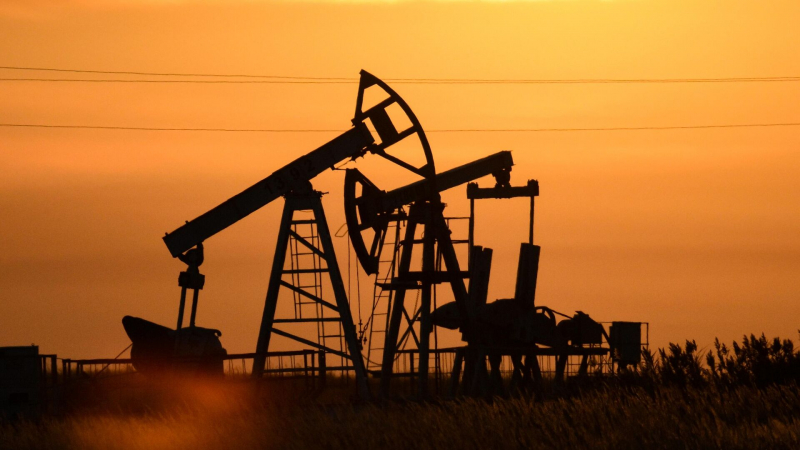 Россия за 11 месяцев нарастила поставки нефти в Китай