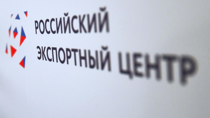 РЭЦ запускает вебинары по кросс-культурной трансформации