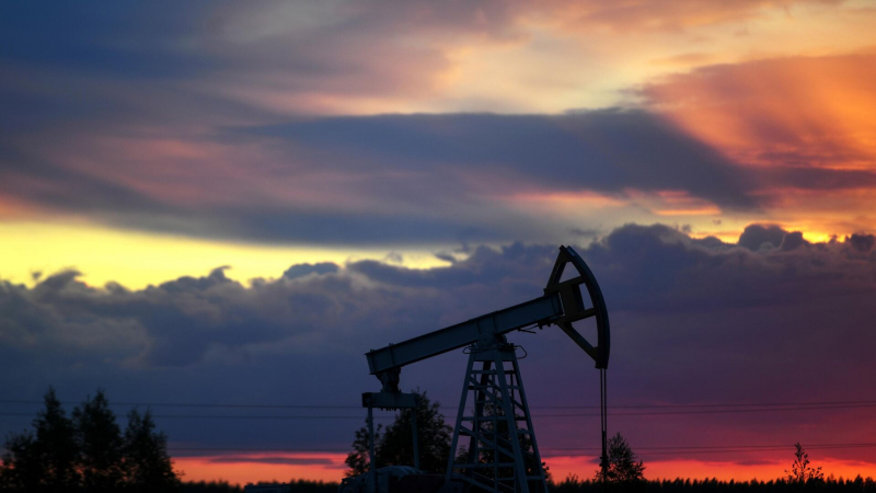 Поставки нефти из России в Евросоюз в январе сократились в полтора раза