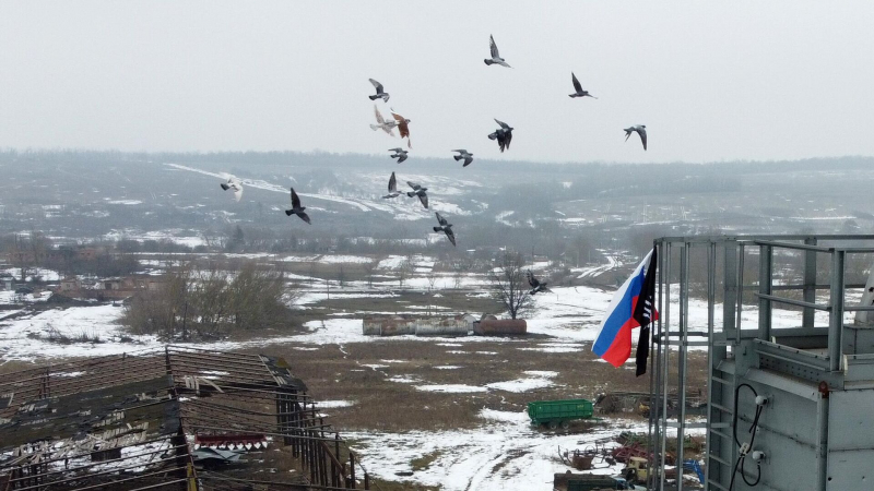 В Курской области бизнесу, пострадавшему из-за нападения ВСУ, окажут помощь
