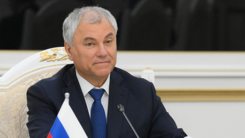 Володин рассказал об использовании нацвалют в торговле России и Киргизии