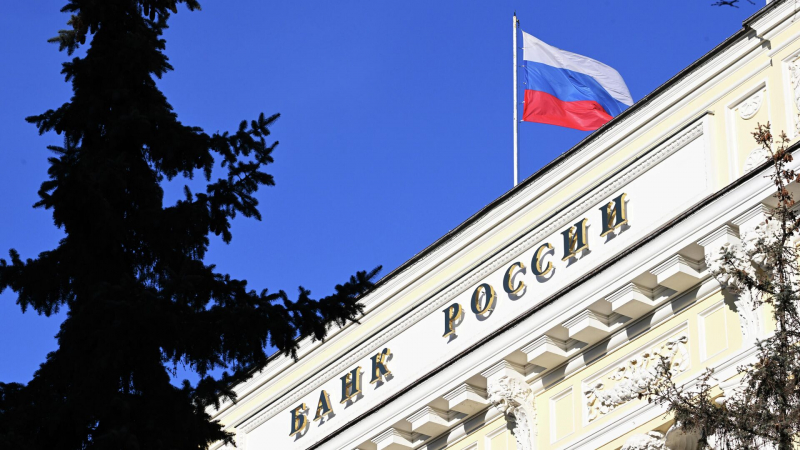 Эксперт призвала ЦБ изучить вопрос изменения цели по инфляции