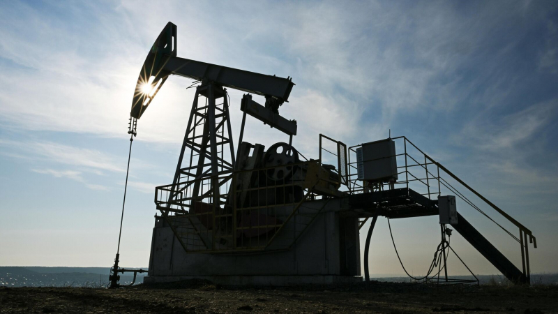 Эксперт раскритиковала пошлины против стран, покупающих нефть из России