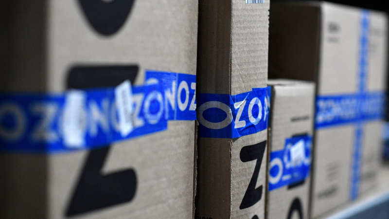Ozon снизит тарифы для продавцов на позиции дешевле 300 рублей