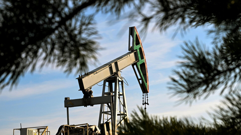 Минэкономразвития ожидает роста экспорта нефтепродуктов в 2026 году на 2,8%
