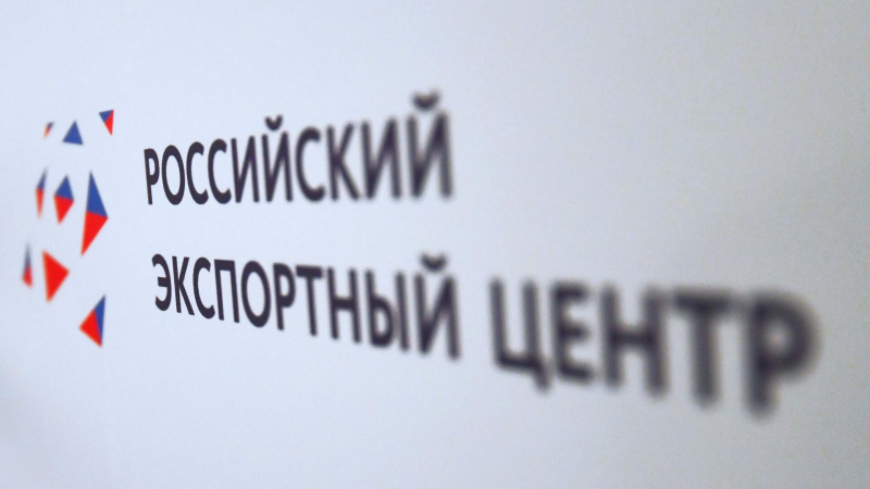 РЭЦ поделился опытом компаний, вышедших на мировой рынок