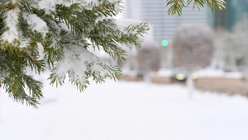 Большей частью дождь и снег: какой будет погода в Казахстане в ближайшие три дня