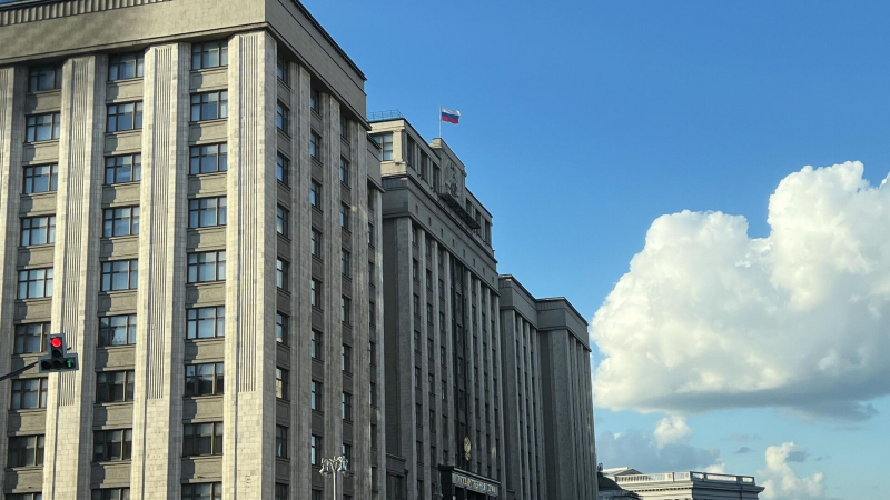 Комитет Госдумы поддержал новые пошлины для автовладельцев и мигрантов