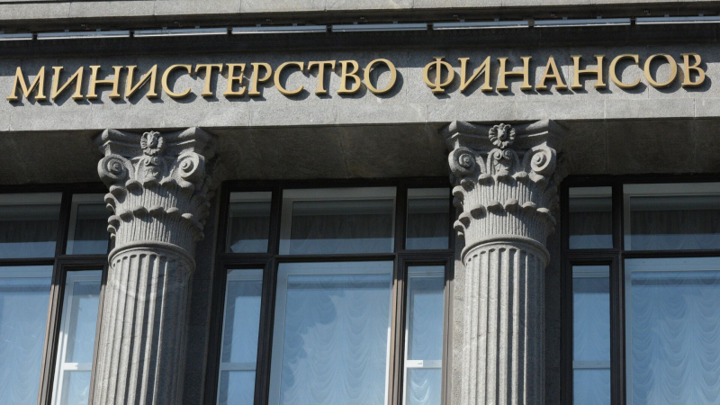 Минфин зафиксировал приток иностранных "ковбойских" инвестиций